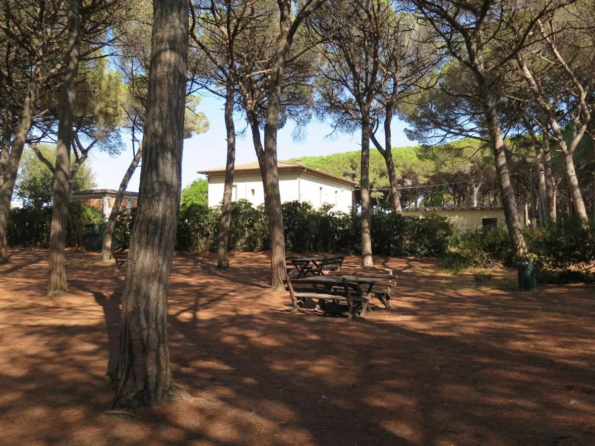 Apartment Palazzeta Iii-1 By Interhome Vada 0*,  Italy